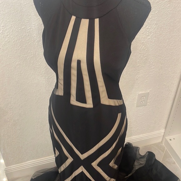 Terani Couture Dress - Picture 4 of 6